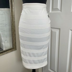 White Pencil Skirt